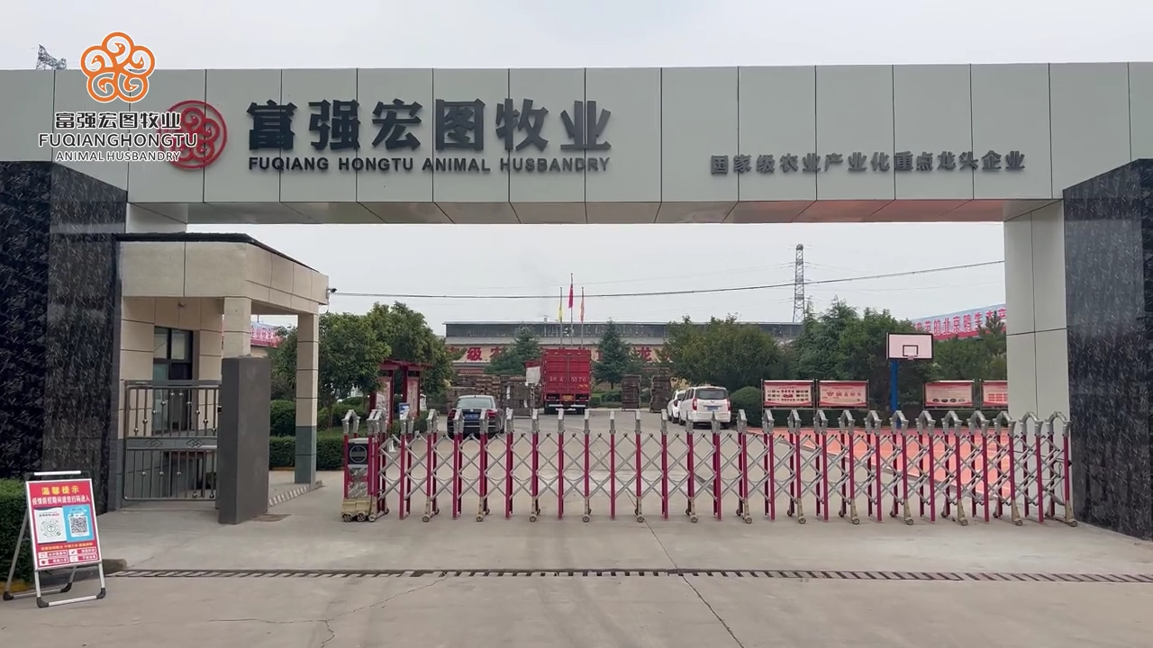 一路同行，不負(fù)久候。金牌好鴨，品質(zhì)人生！