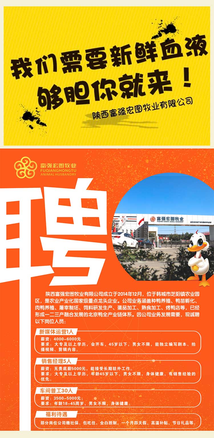 1672122143671506.jpg zhaopin_03.jpg