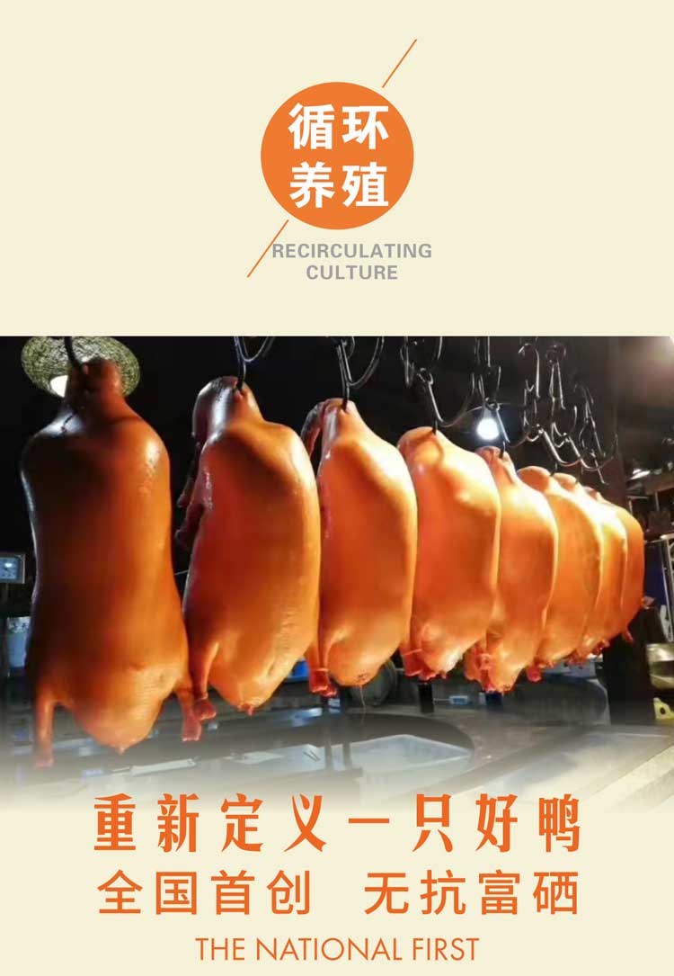 1672123469977895.jpg xunhuan_01.jpg