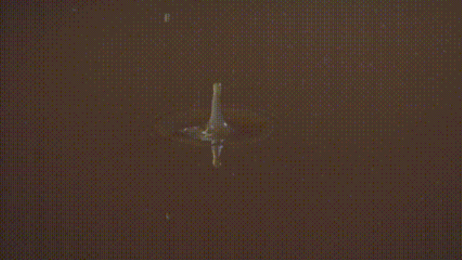 1690445151552621.jpg 02.jpg
