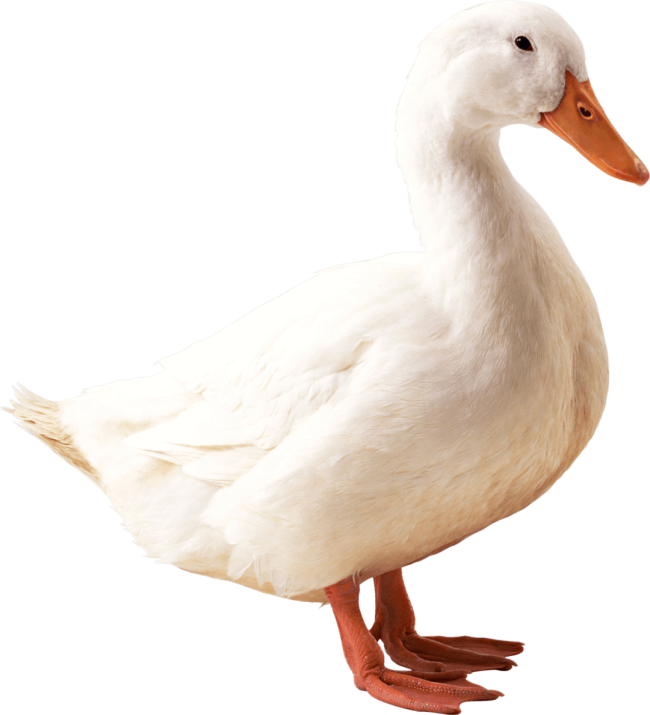 1692260892746686.png 02.png