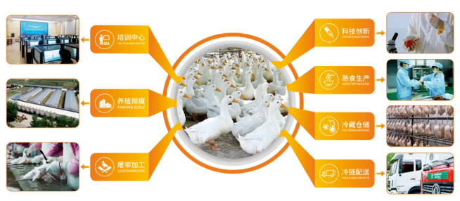 1732863662268175.png 微信圖片_20241129150042.png
